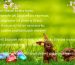 mazurtravel