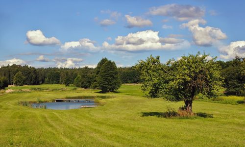 landscape-7406351_1280